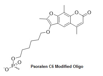 Bio-Synthesis Inc. Oligo Structure